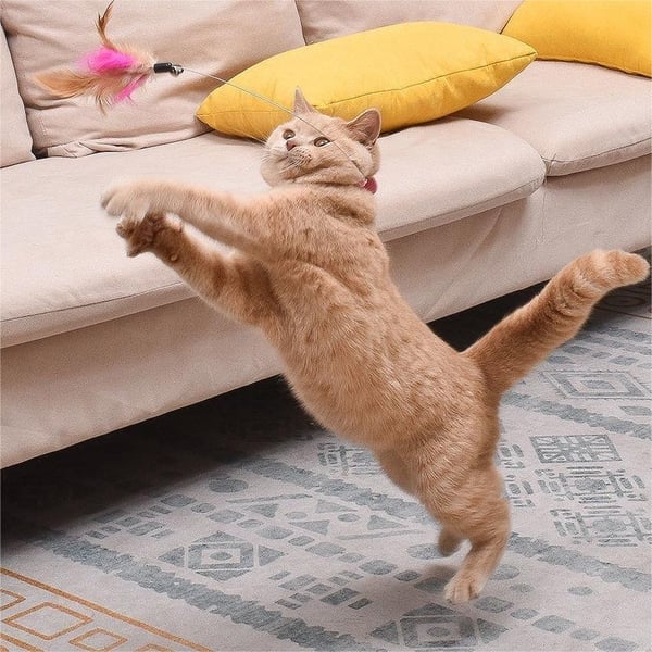 Collier pour chat, jouet interactif en silicone, baguette de taquinerie réglable, collier à plumes avec clochette
