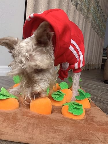 Juguete interactivo de peluche para perro de granja de zanahorias