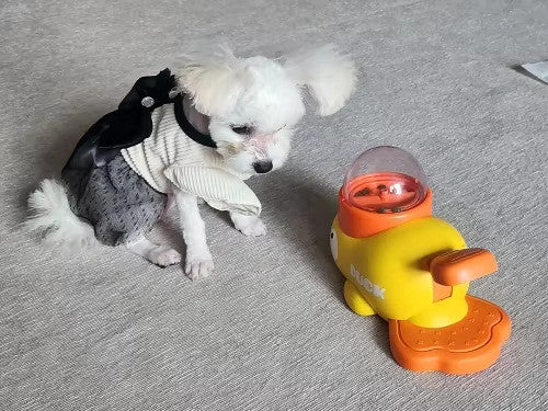 Yellow Duck Interactive Pet Feeder™
