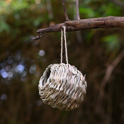 🐦Hummingbird Nest House