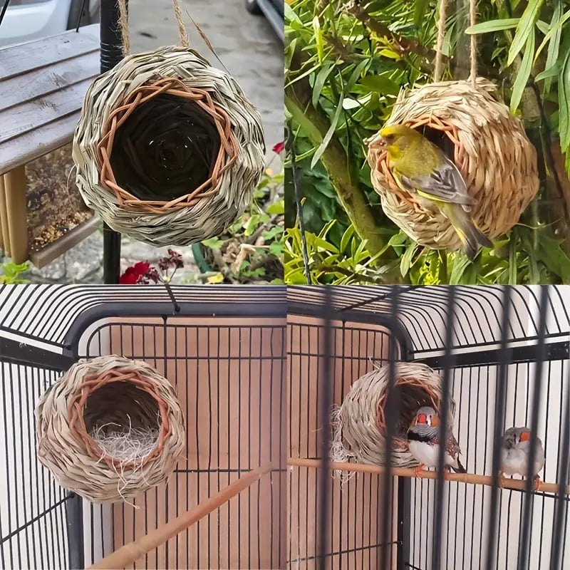 🐦Hummingbird Nest House