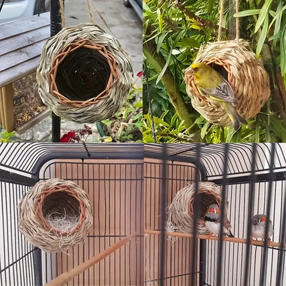 🐦Hummingbird Nest House