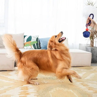 Pelota interactiva para perros