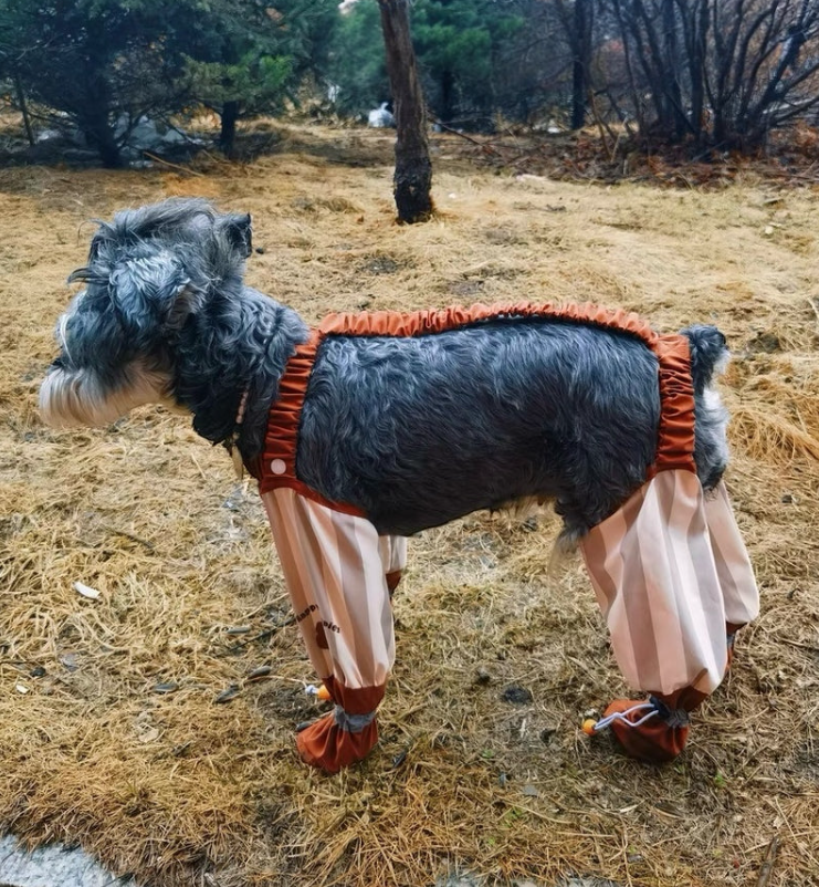 🐾 Dust-Proof Pet Pants – Light, Comfy & Clean! ✨