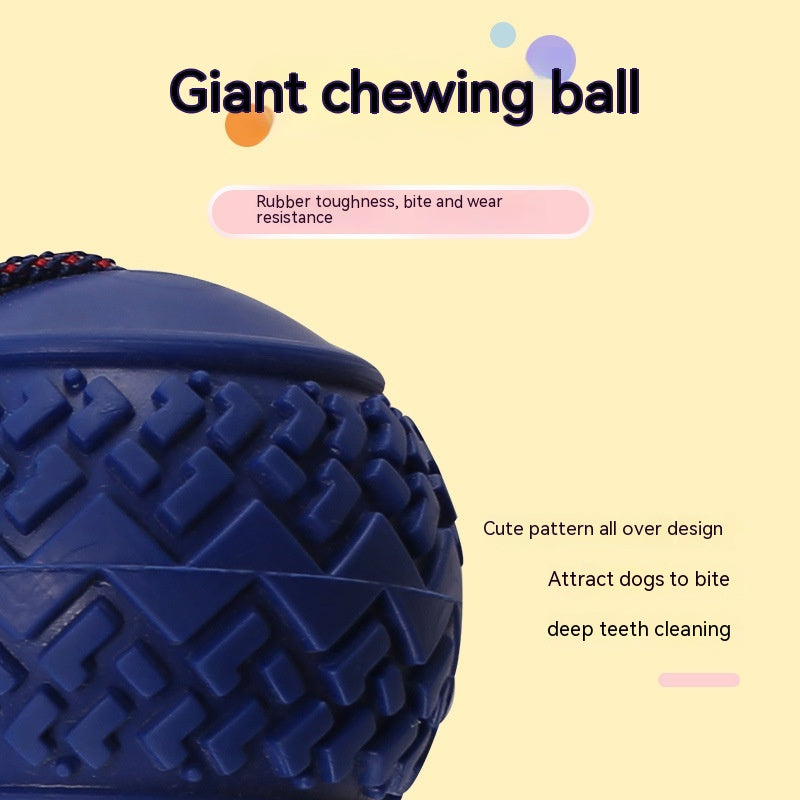 Pelota interactiva para perros