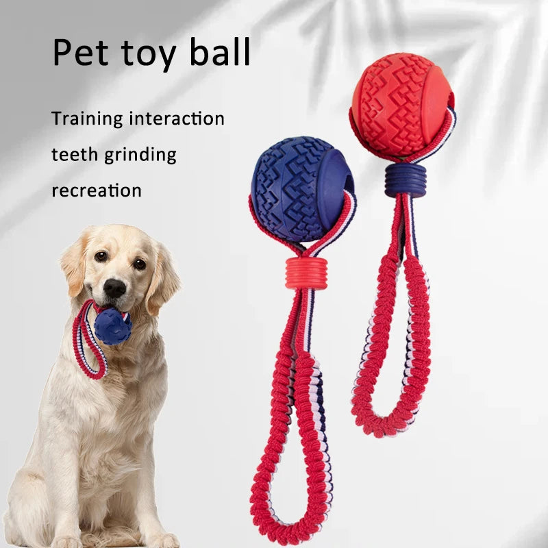 Pelota interactiva para perros