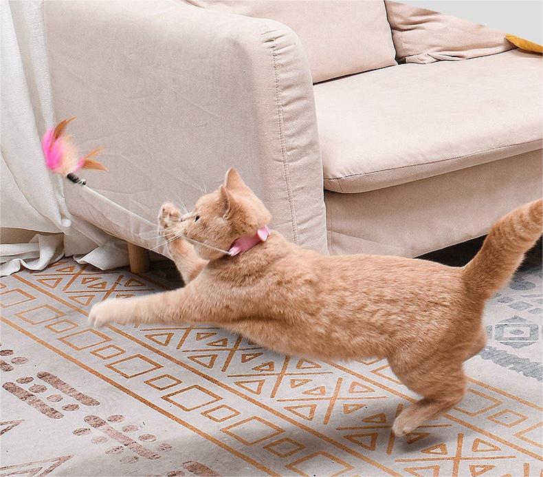 Collar de manos libres con palo para gatos😻 