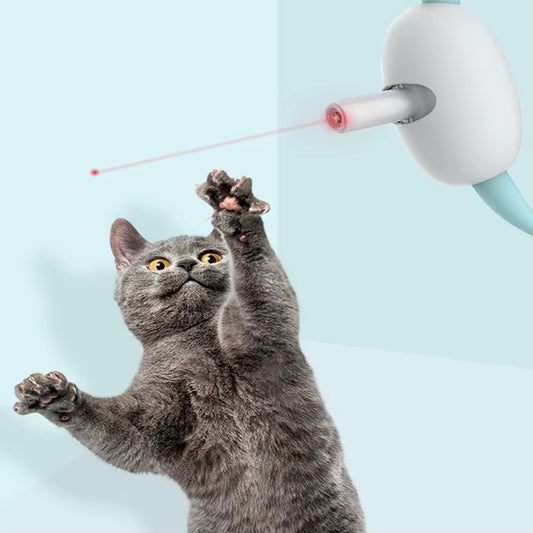 Smart Laser Collar for Cats