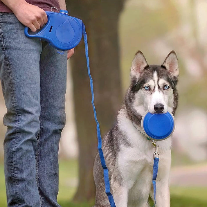 3-in-1 Pet Leash – With Water Bottle & Multi-Color Style