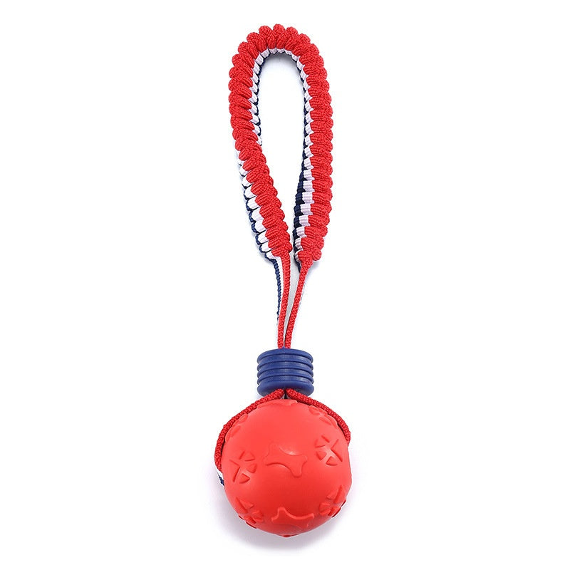 Pelota interactiva para perros