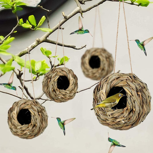 🐦Hummingbird Nest House