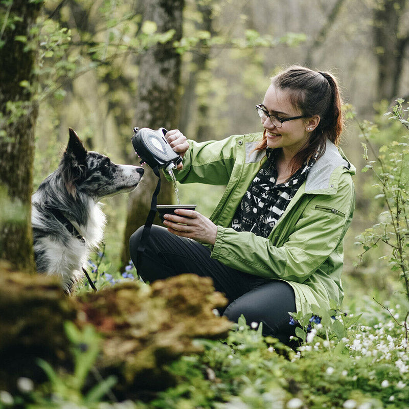 3-in-1 Pet Leash – With Water Bottle & Multi-Color Style