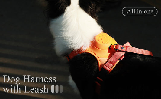 🐕✨ Revolutionary Dog Harness with Built-in Retractable Leash – Walk Freely, Stay in Control!