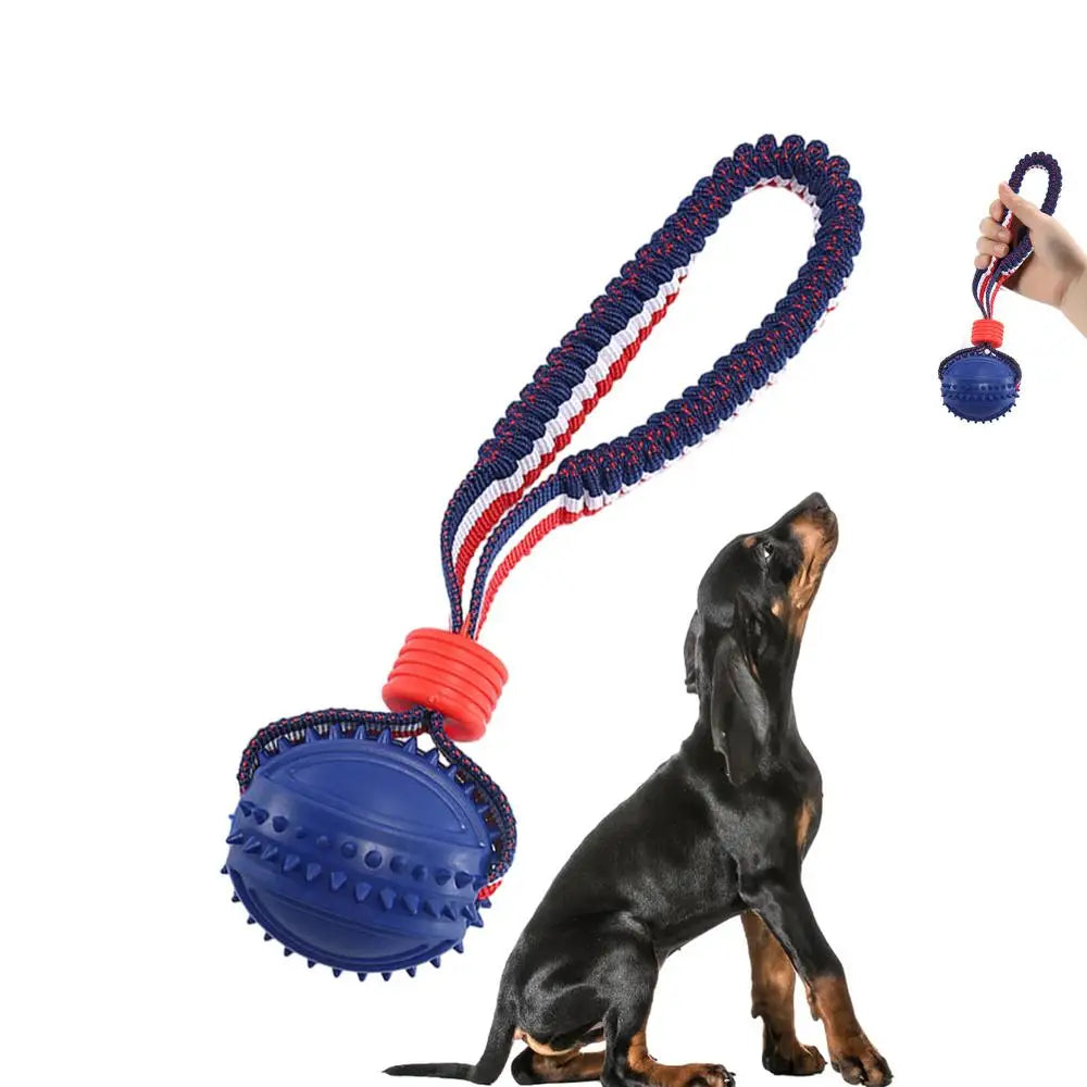 Pelota interactiva para perros