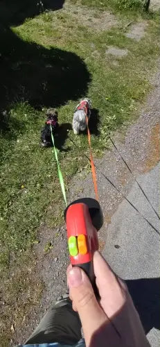 Smart Dual Leash™