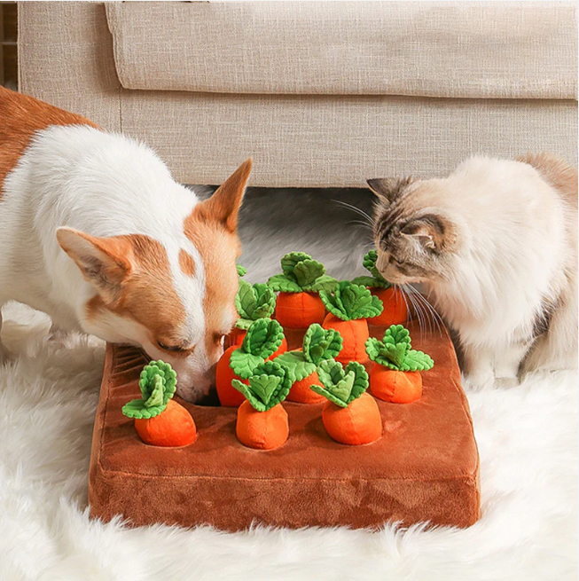 Carrot Farm