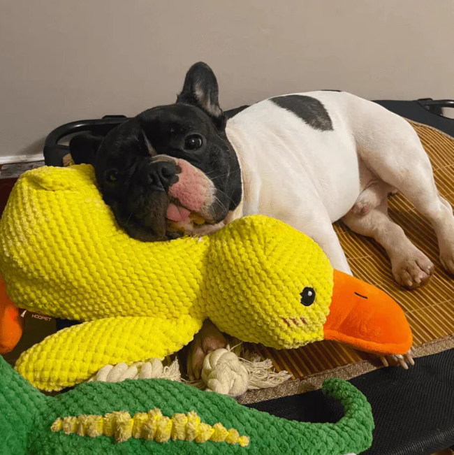 Cartoon Yellow Duck Dog Toy S/M/L Plush Companion Sleeping Ducks Bite Resistant Teeth Grinding Sound Relief Duck Sound Pet Toys