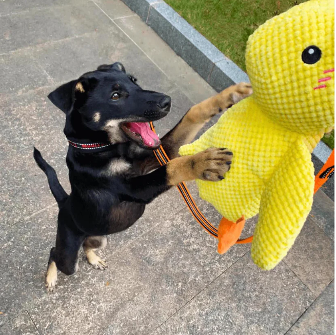 Cartoon Yellow Duck Dog Toy S/M/L Plush Companion Sleeping Ducks Bite Resistant Teeth Grinding Sound Relief Duck Sound Pet Toys