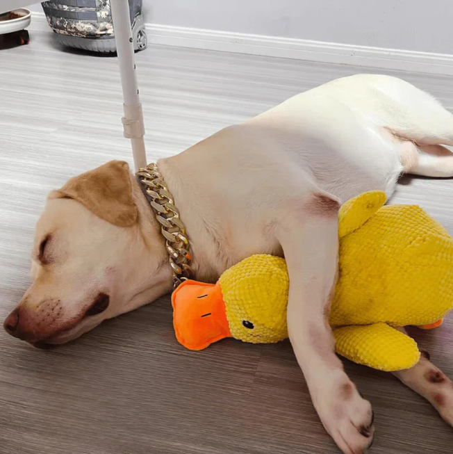 Cartoon Yellow Duck Dog Toy S/M/L Plush Companion Sleeping Ducks Bite Resistant Teeth Grinding Sound Relief Duck Sound Pet Toys