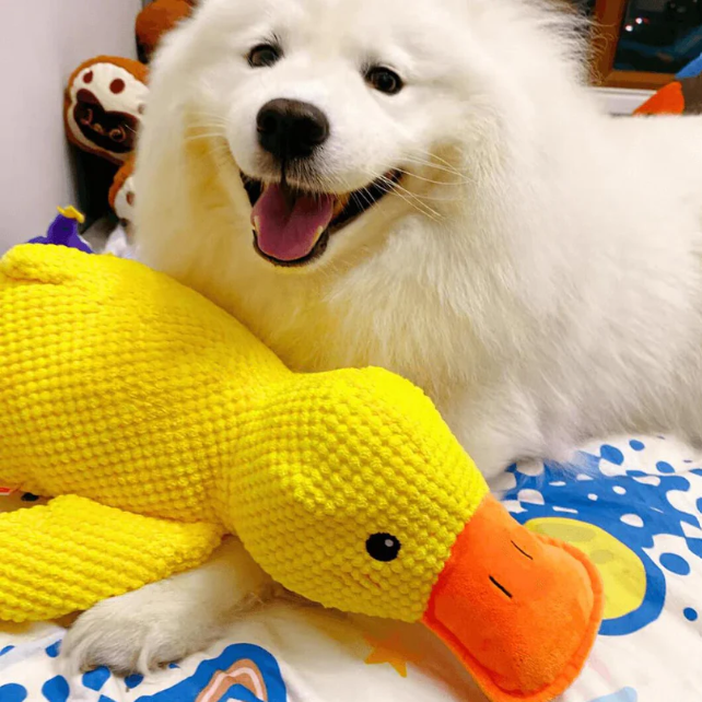 Cartoon Yellow Duck Dog Toy S/M/L Plush Companion Sleeping Ducks Bite Resistant Teeth Grinding Sound Relief Duck Sound Pet Toys
