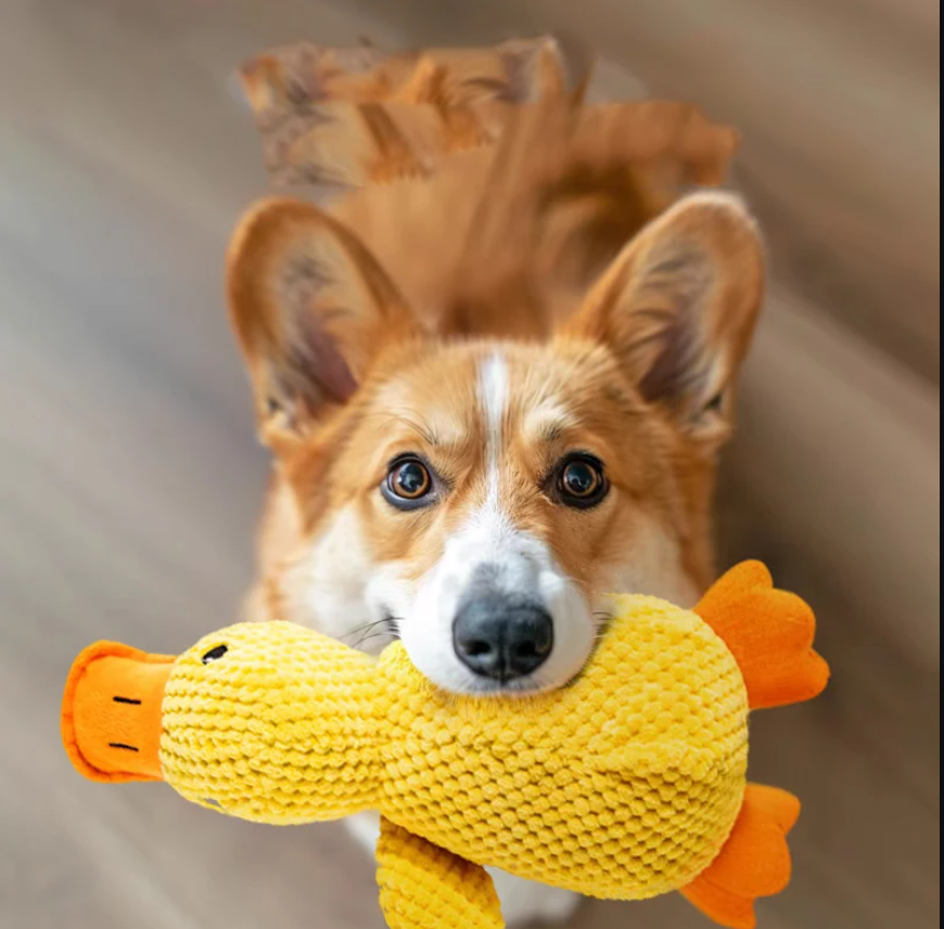 Cartoon Yellow Duck Dog Toy S/M/L Plush Companion Sleeping Ducks Bite Resistant Teeth Grinding Sound Relief Duck Sound Pet Toys