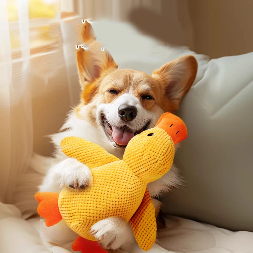 Cartoon Yellow Duck Dog Toy S/M/L Plush Companion Sleeping Ducks Bite Resistant Teeth Grinding Sound Relief Duck Sound Pet Toys
