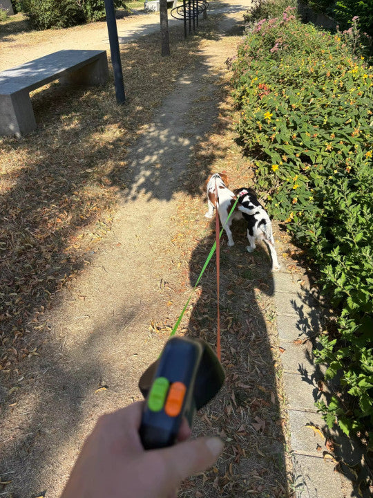 Smart Dual Leash™