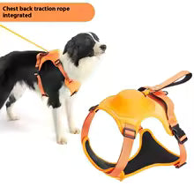 🐕✨ Revolutionary Dog Harness with Built-in Retractable Leash – Walk Freely, Stay in Control!