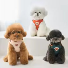 🐶✨ Ultra-Comfort Harness + Leash – For Small Dogs & Cats 😻