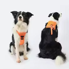 🐕✨ Revolutionary Dog Harness with Built-in Retractable Leash – Walk Freely, Stay in Control!