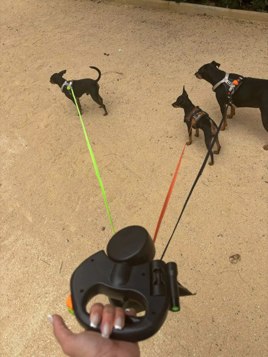 Smart Dual Leash™