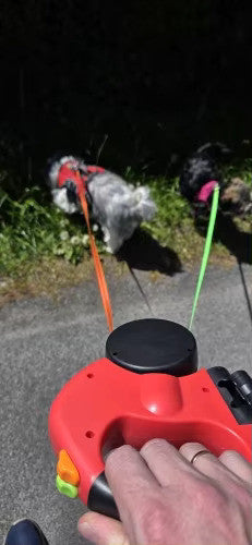 Smart Dual Leash™