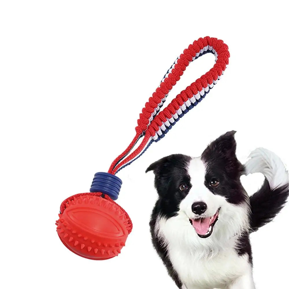 Pelota interactiva para perros