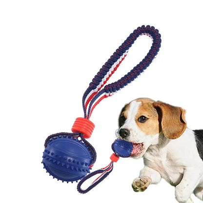 Pelota interactiva para perros