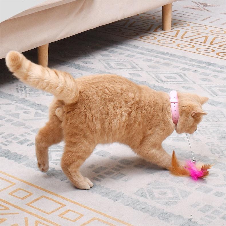 Collar de manos libres con palo para gatos😻 