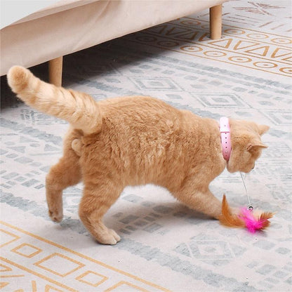 Collar de manos libres con palo para gatos😻 