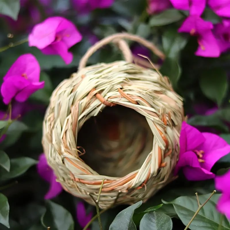 🐦Hummingbird Nest House
