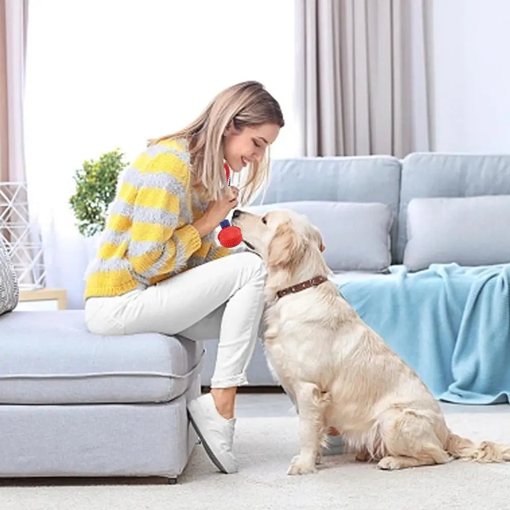 Pelota interactiva para perros